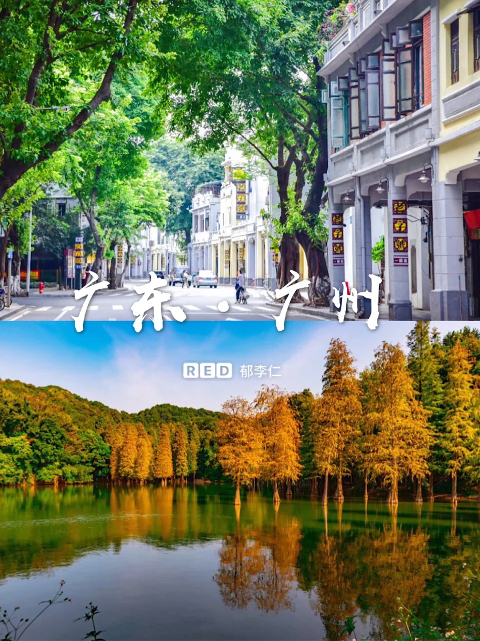 11月国内旅游✈️最美小众旅行地🌟纯干货㊙️