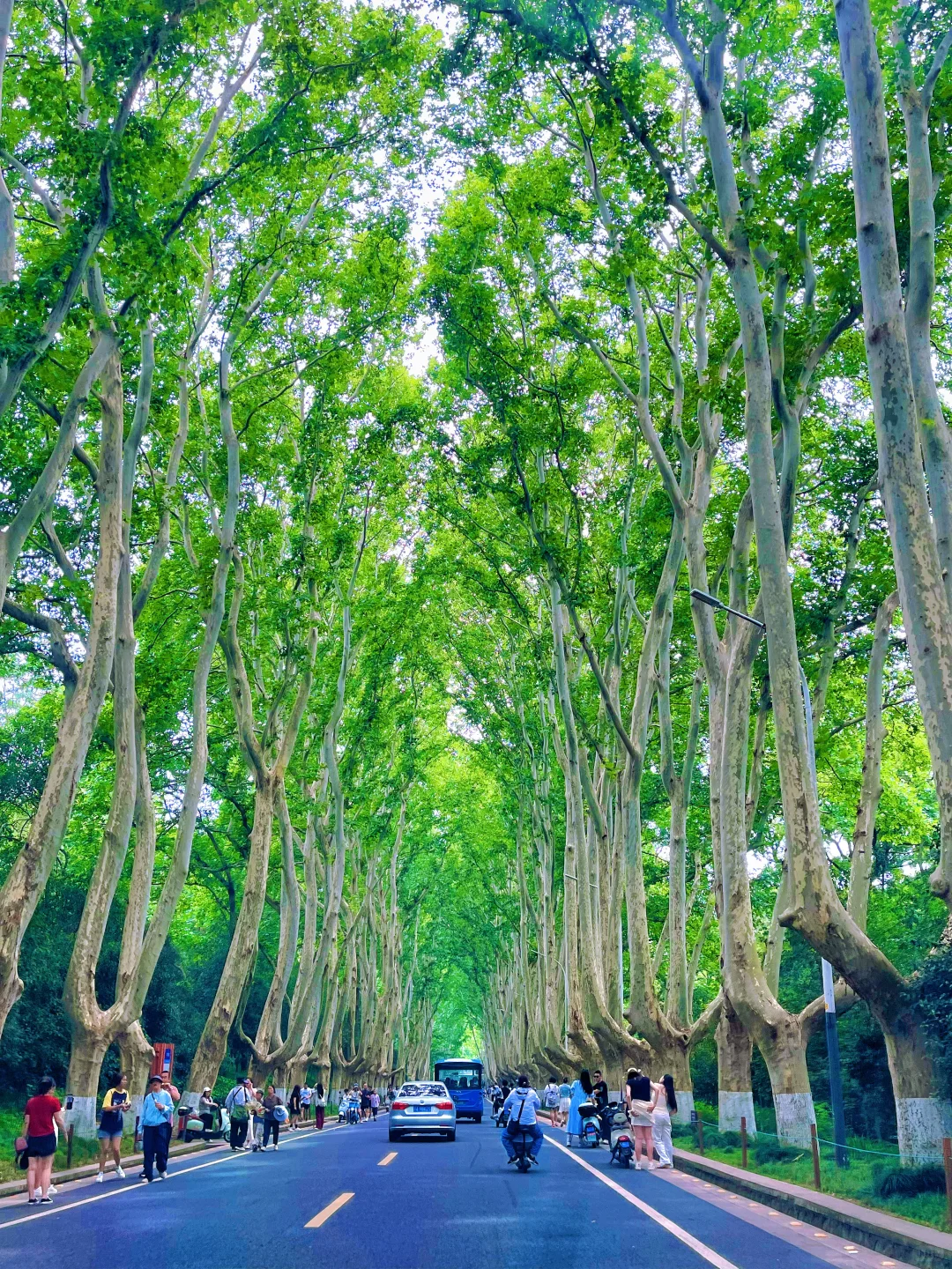 暑假带娃怎么逛南京中山陵‼️一篇讲清