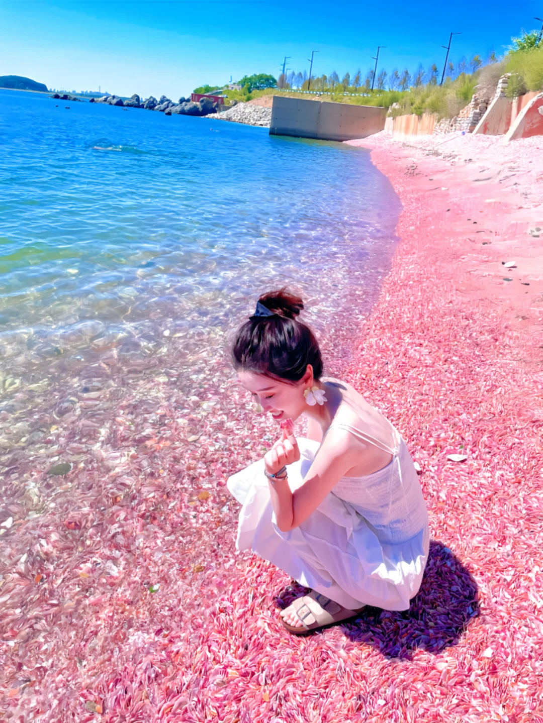 一片被忽视的粉色海滩-董家沟养殖一场～