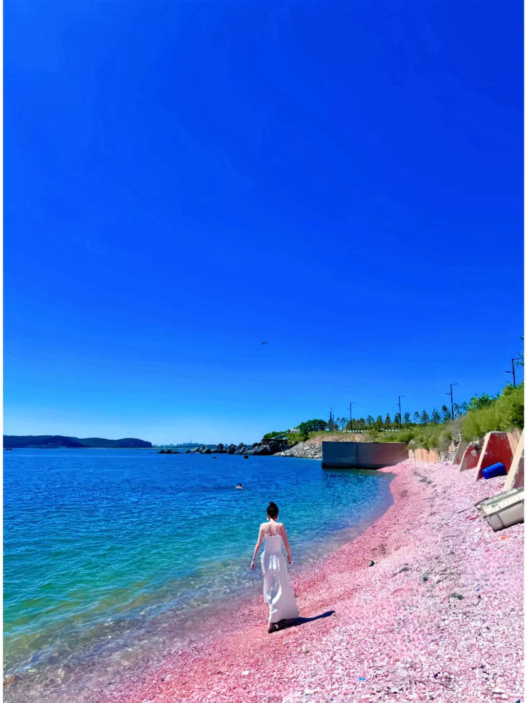 一片被忽视的粉色海滩-董家沟养殖一场～