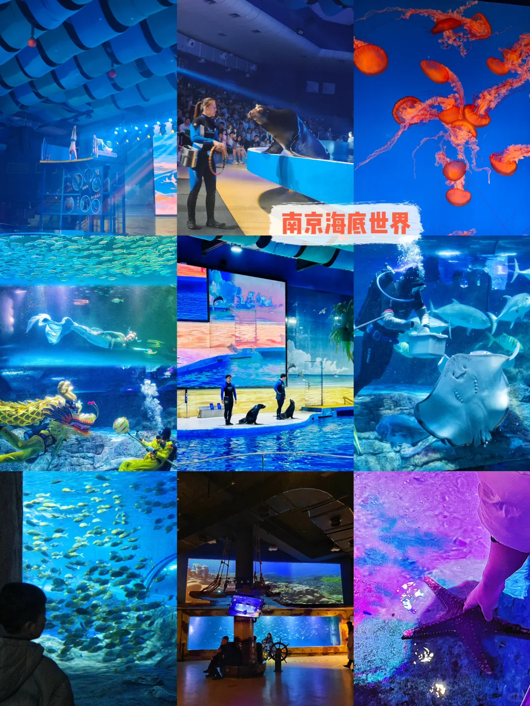 暑假带娃怎么逛南京中山陵‼️一篇讲清