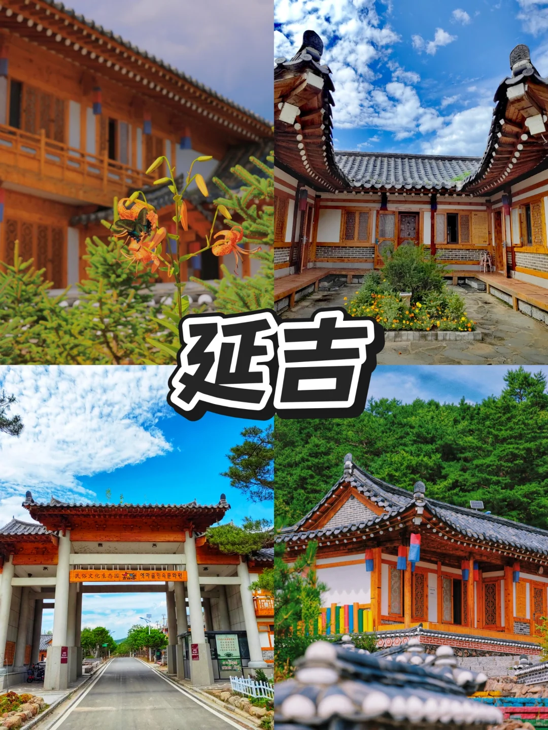 谁说东北只能冬天玩❓东北避暑简直太爽了！