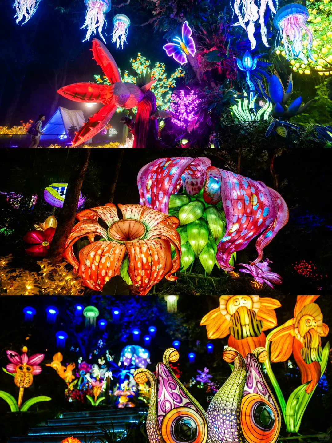 南宁夜花园必打卡十个景点(附攻略）
