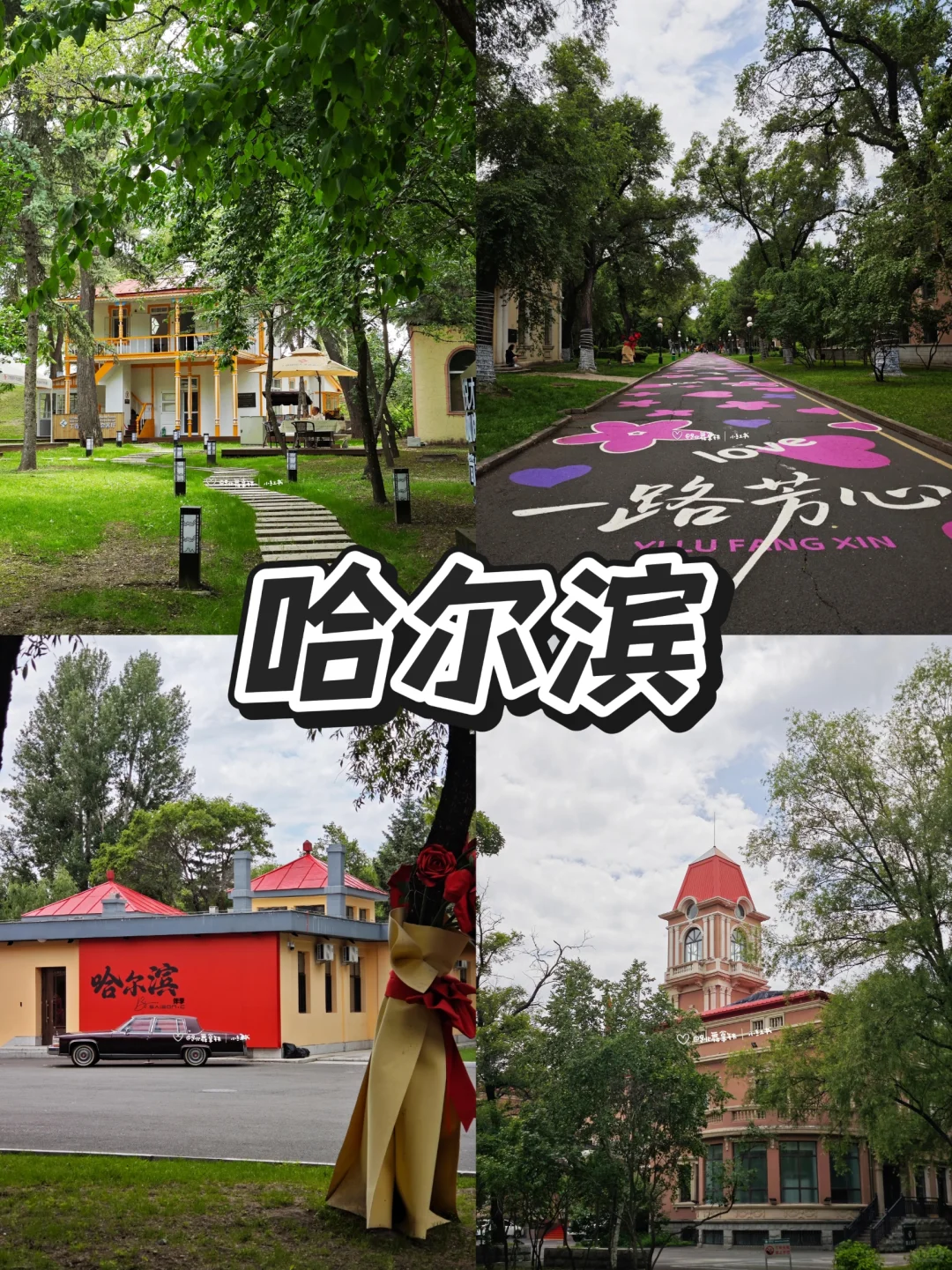 谁说东北只能冬天玩❓东北避暑简直太爽了！