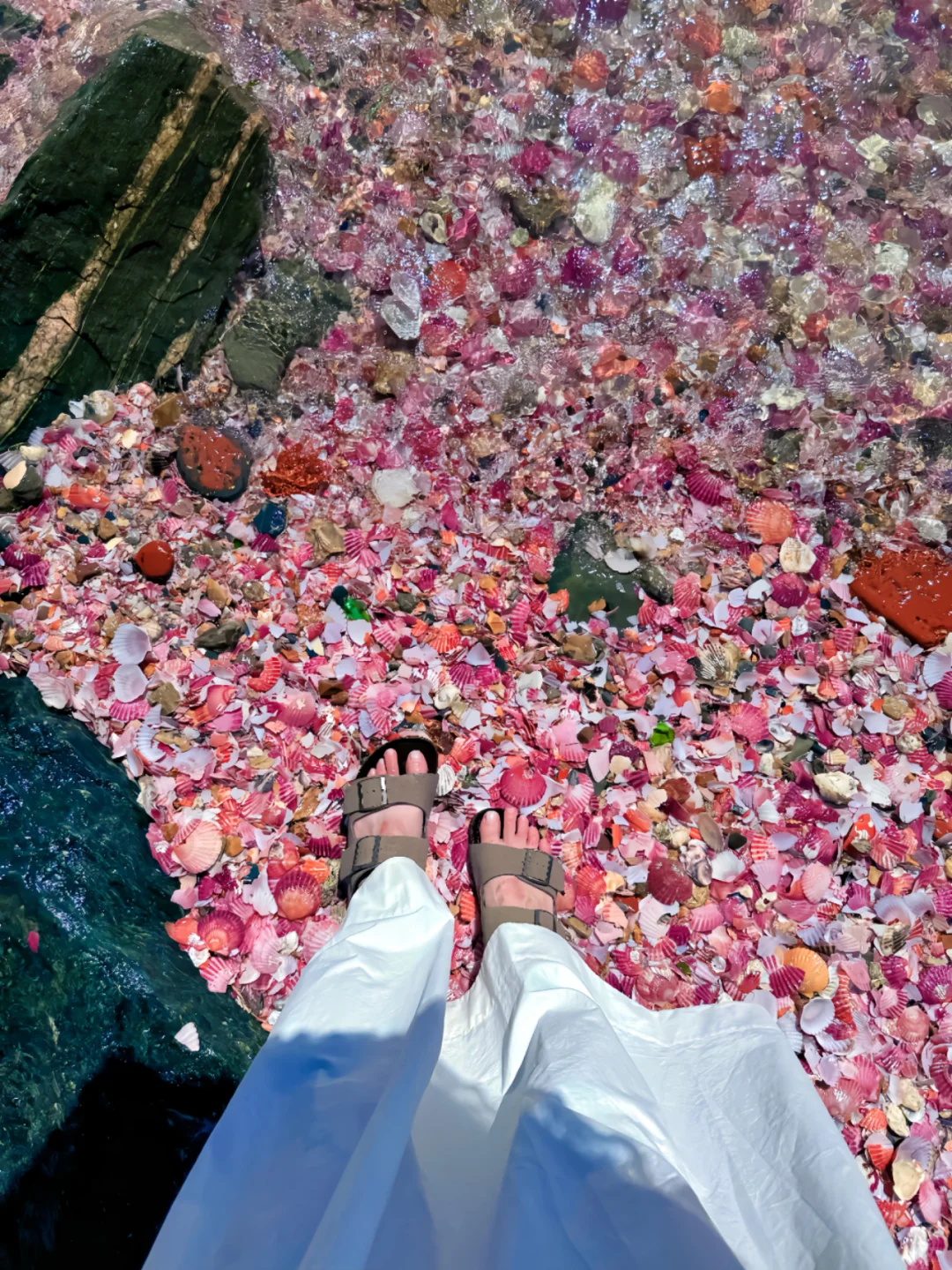 一片被忽视的粉色海滩-董家沟养殖一场～