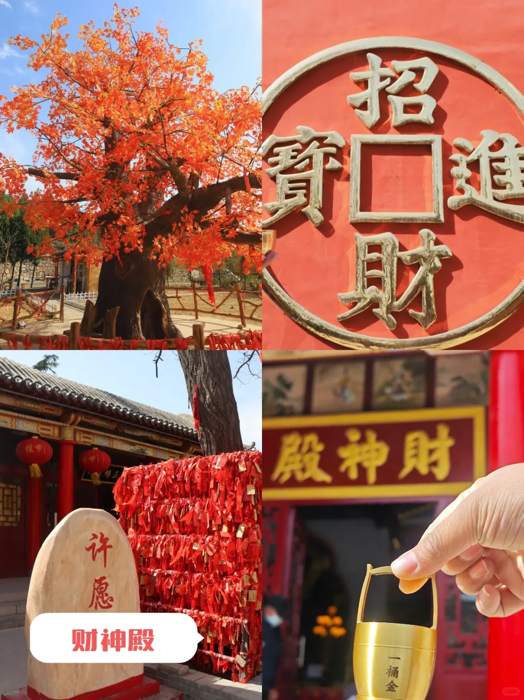 终于狠狠get到邯郸了！✨