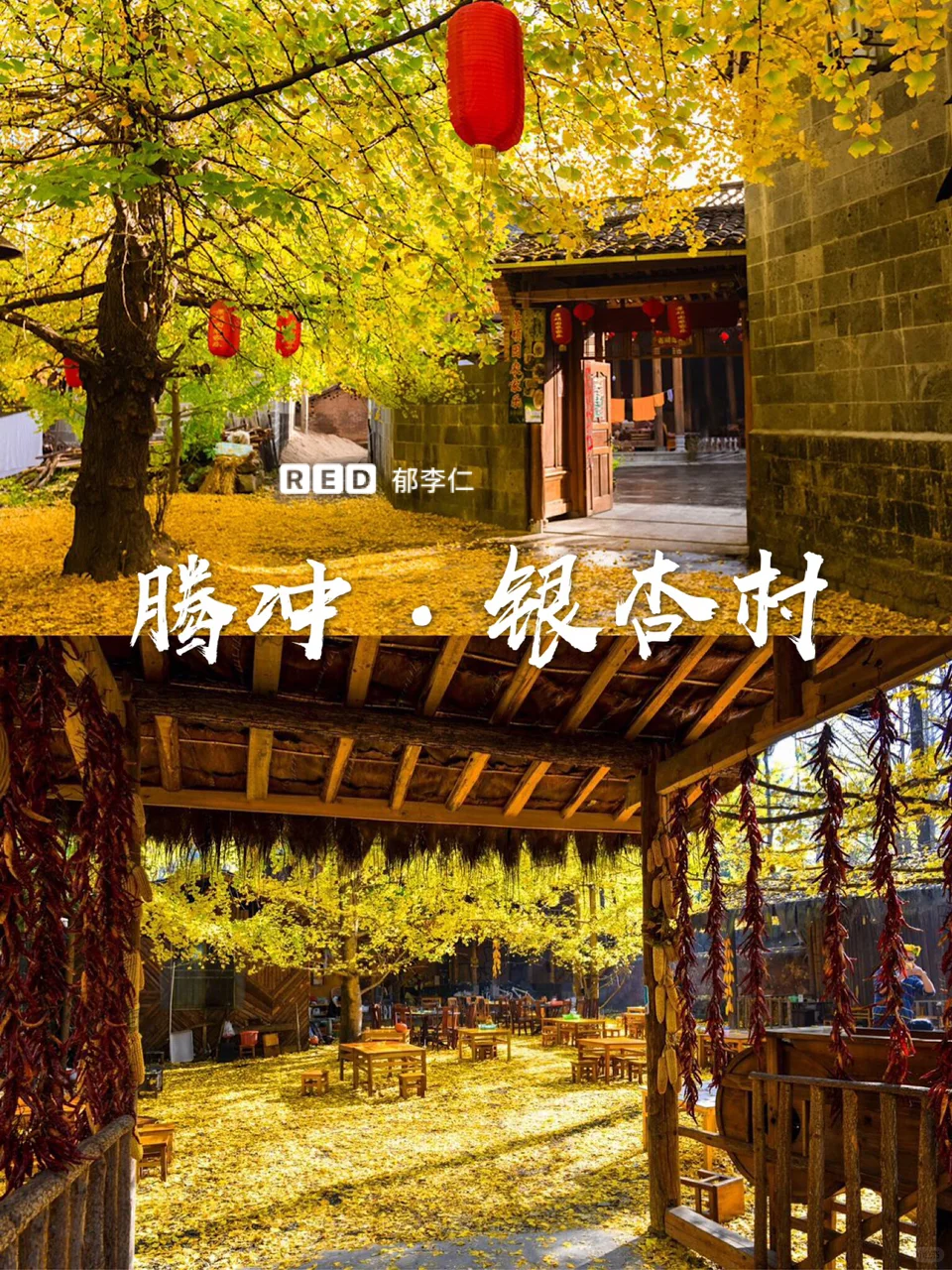 11月国内旅游✈️最美小众旅行地🌟纯干货㊙️