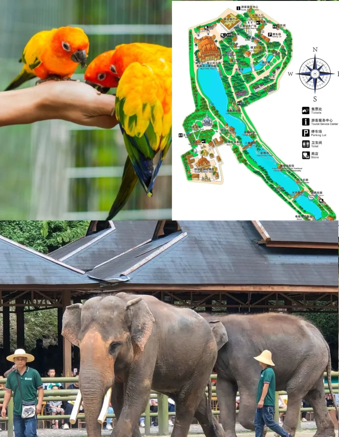 西双版纳必玩景点攻略总结之最近-曼听公园