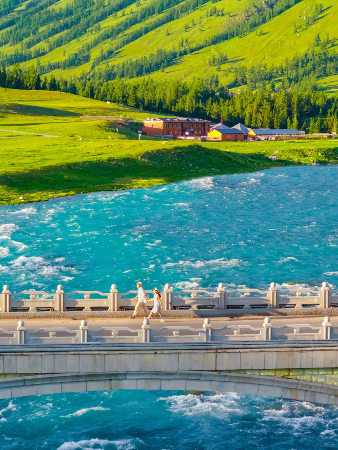 我这一生，总有一个夏天要留给新疆！！