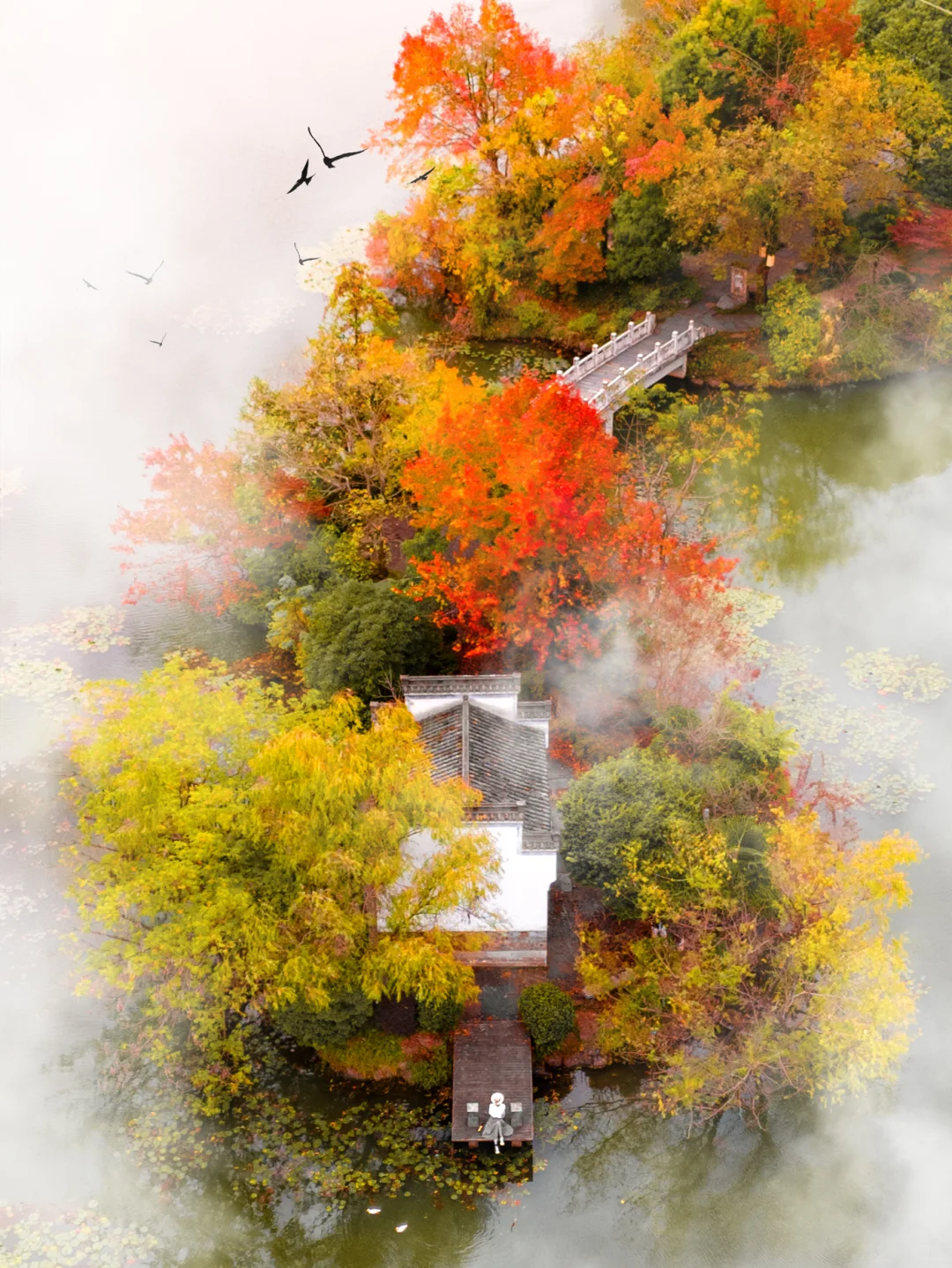 高铁直达，我找到了避世小镇里的江南秋色🍁