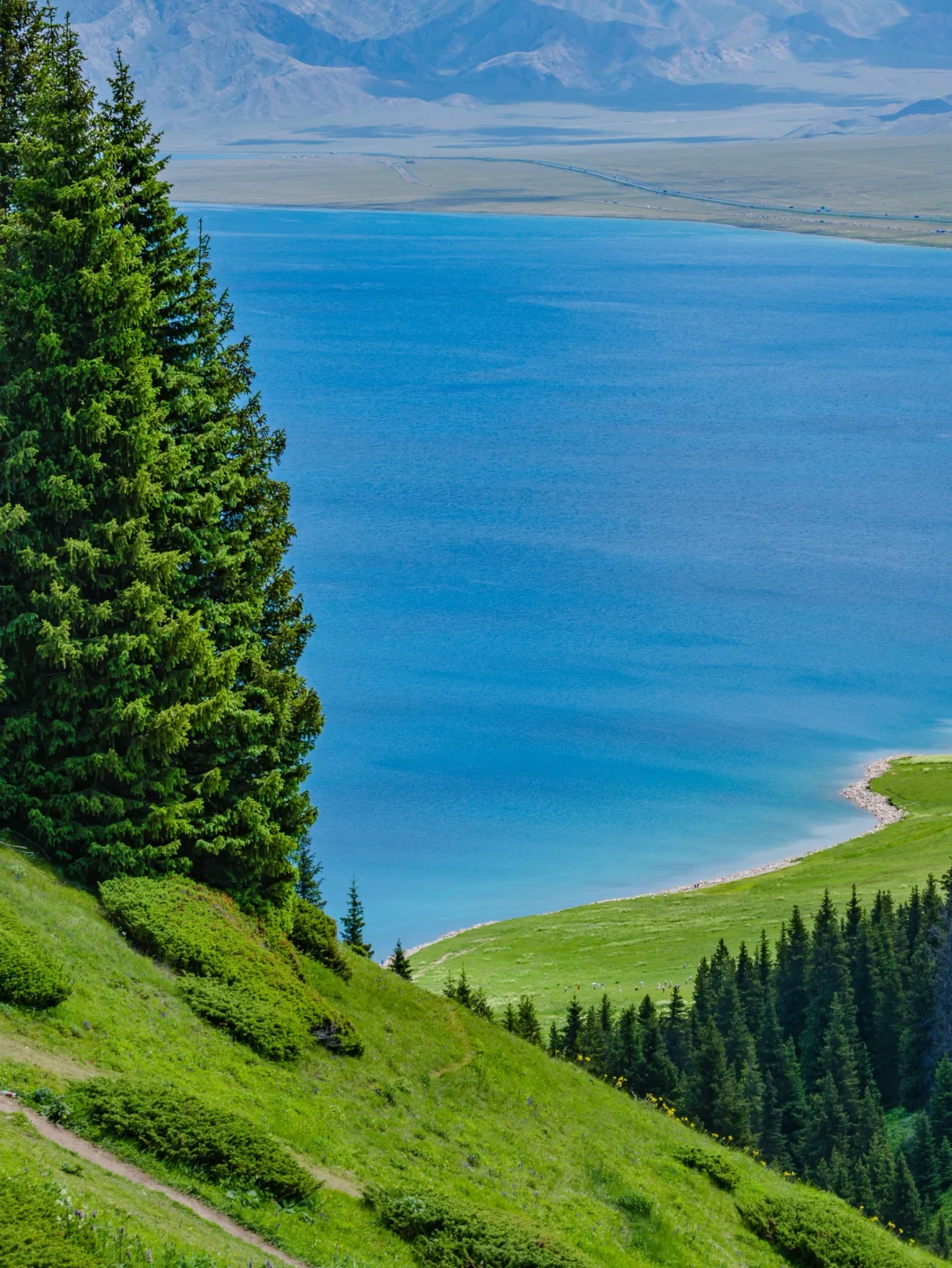 为了这18张照片，我特意飞了一趟新疆伊犁❗