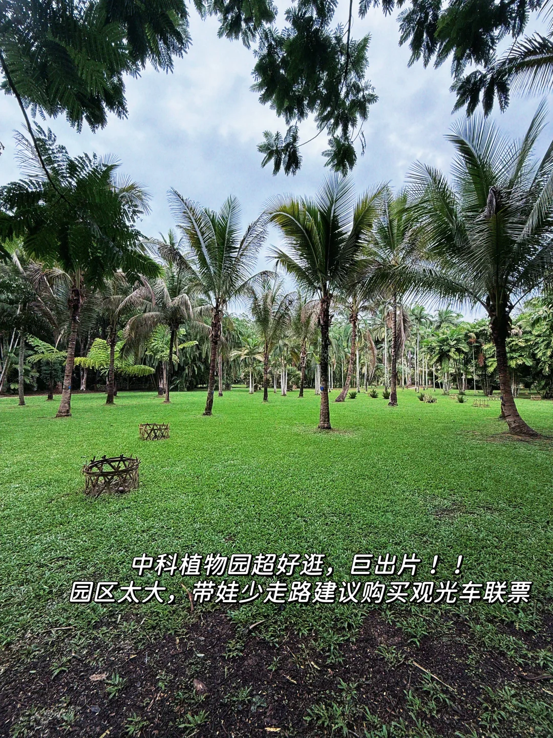 西双版纳亲子游没踩坑❗️带娃不累