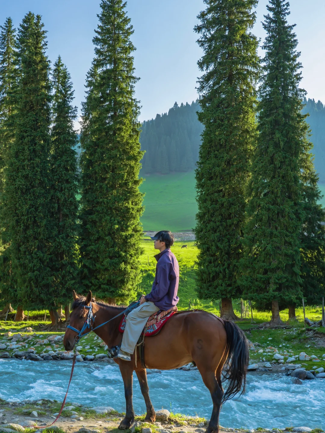 为了这18张照片，我特意飞了一趟新疆伊犁❗