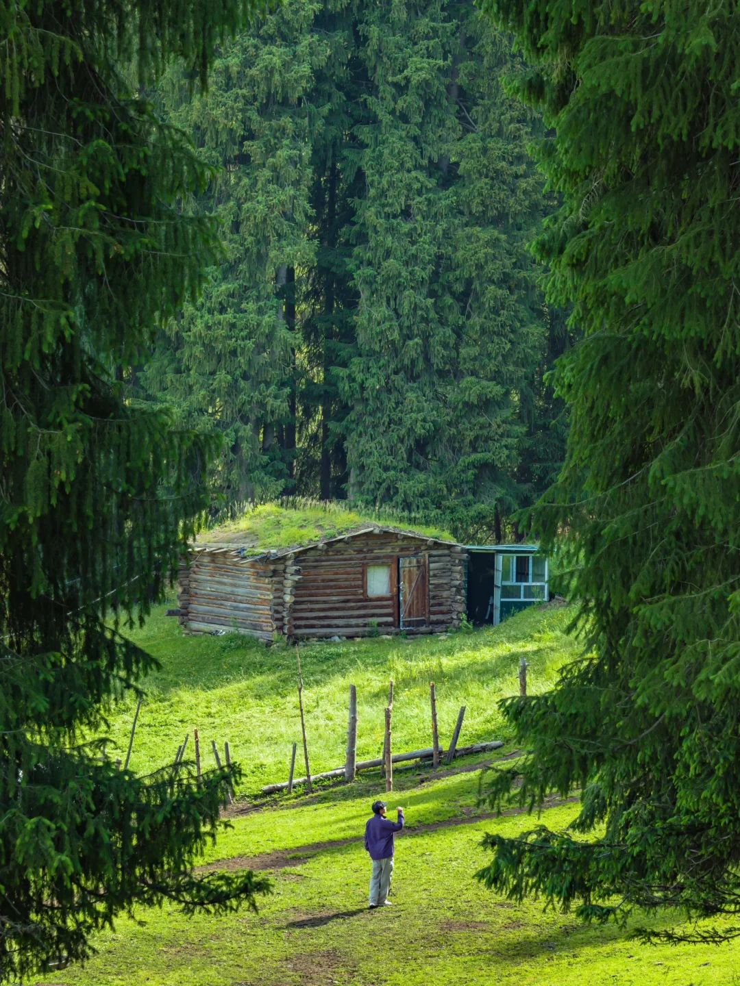 为了这18张照片，我特意飞了一趟新疆伊犁❗