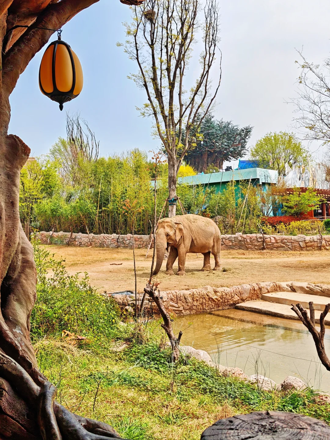 邯郸到郑州银基动物园两天一夜