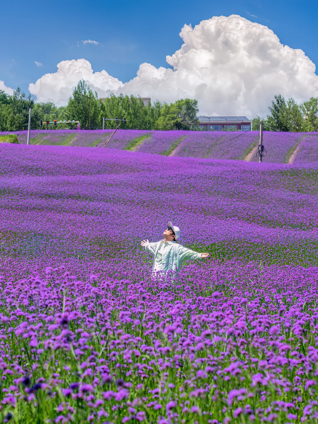 东北避暑！今年去过最冷门的城市！