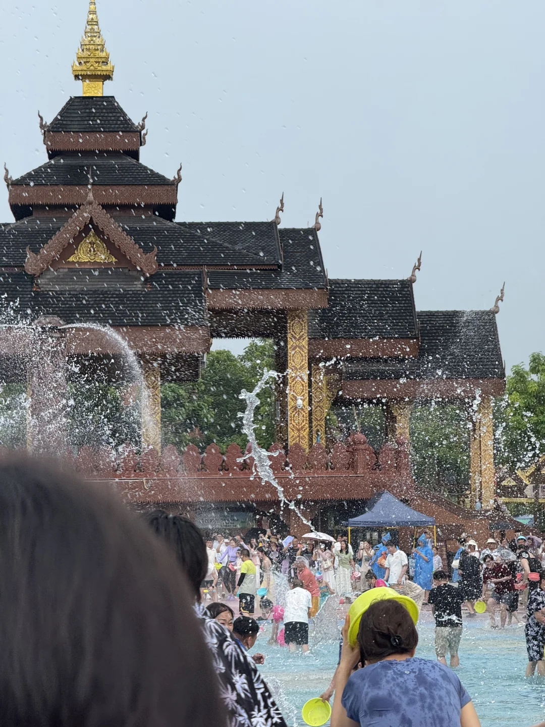 西双版纳亲子游没踩坑❗️带娃不累