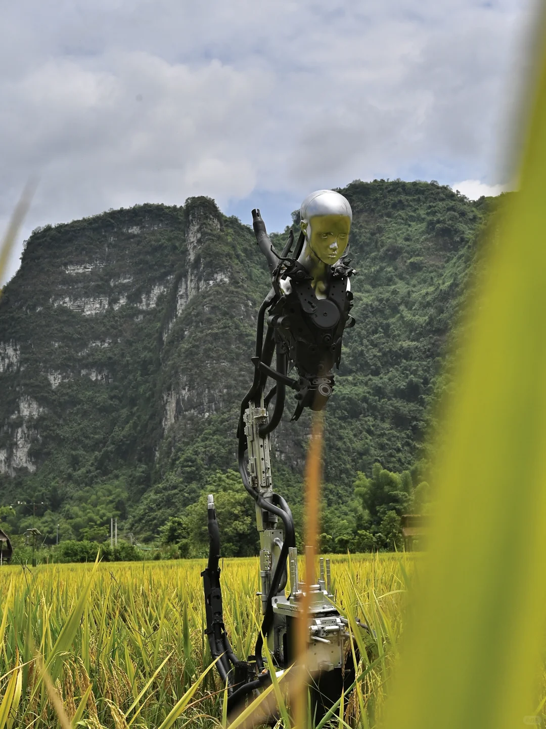 广西…这个地方被严重低估了！！！