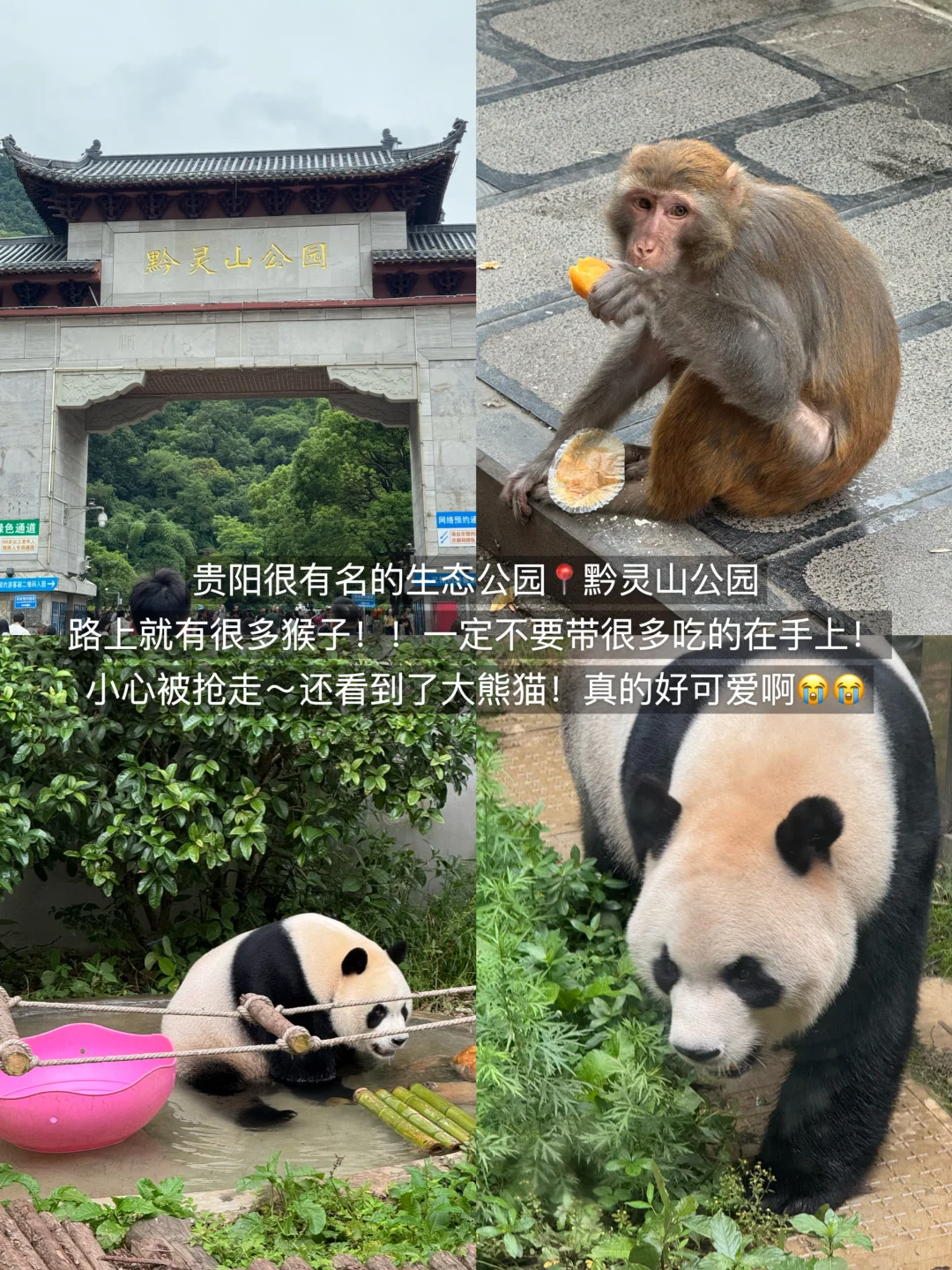 贵阳已回。。我的建议是！！！（全攻略版🙏🏼