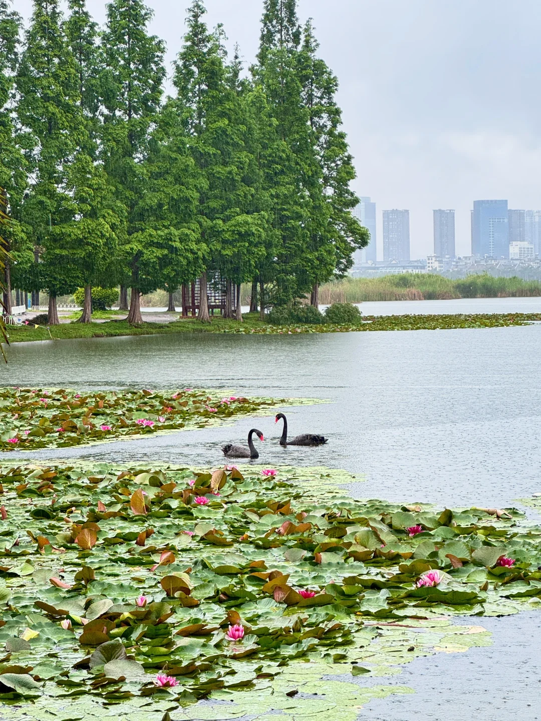 反向旅游！安利一个23 ℃的冷门避暑小城