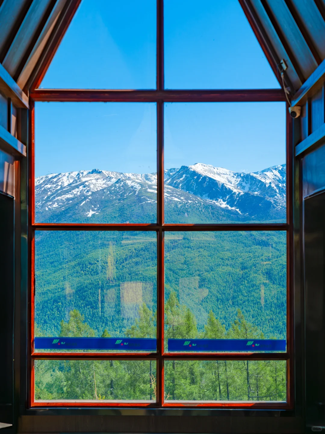 我这一生，总有一个夏天要留给新疆！！