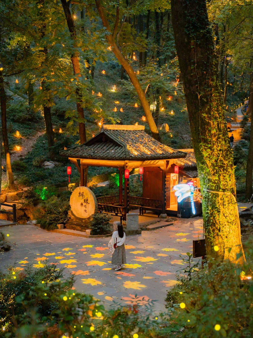 高铁直达，我找到了避世小镇里的江南秋色🍁