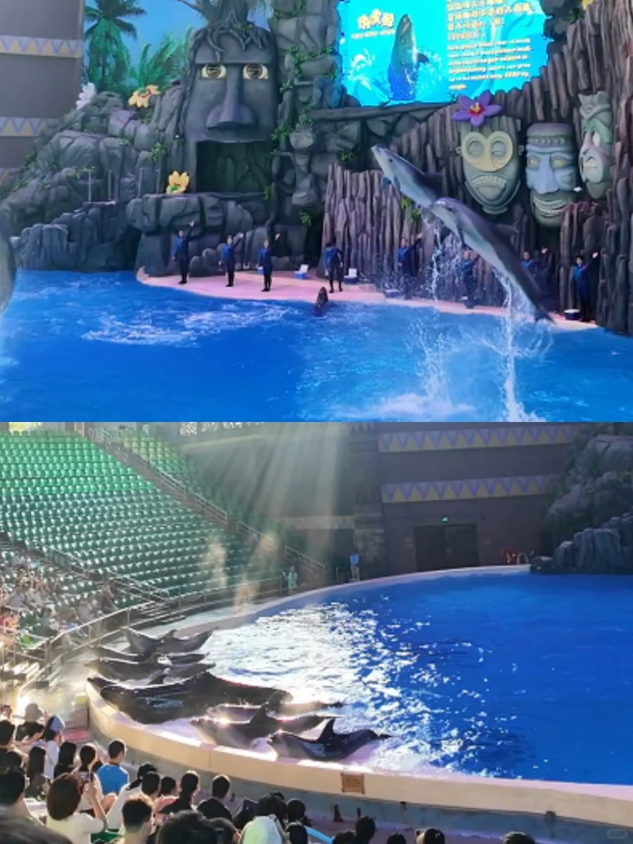 珠海长隆住宿+海洋王国798两大两小🍑总结