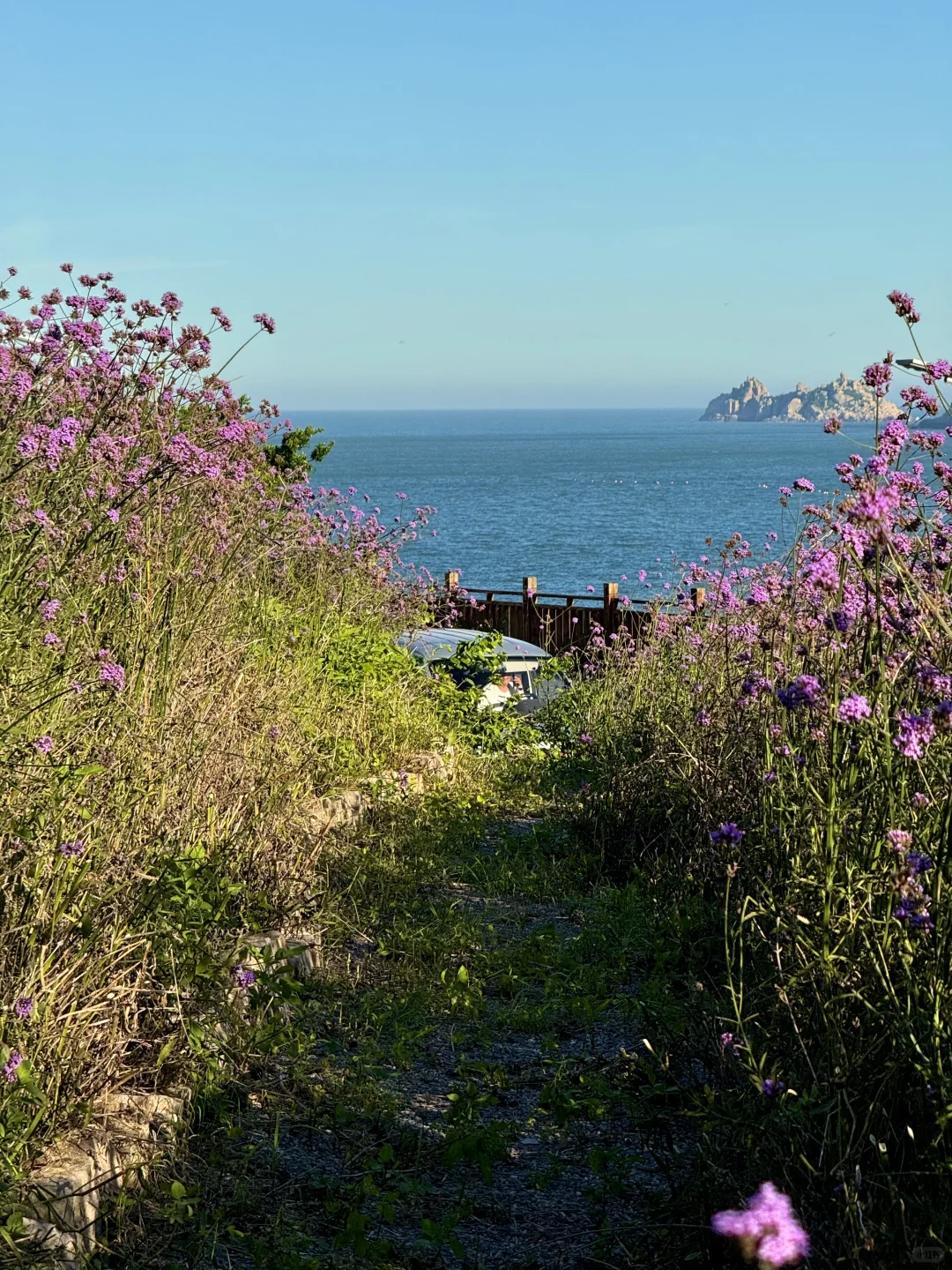 live图，这是国内最值得去的海岛！