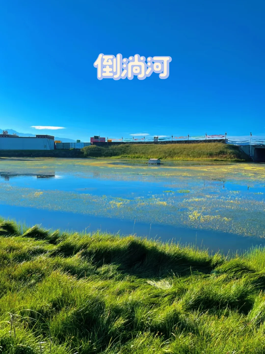 4-8月|青海也太适合大学生穷游了吧🚩