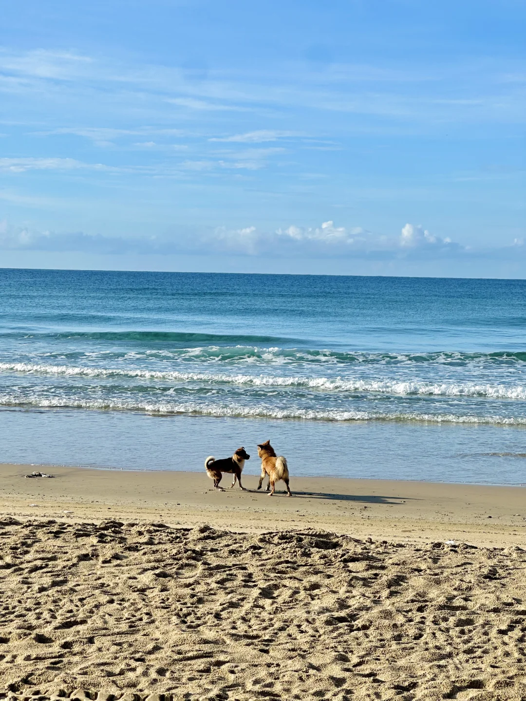 live实况！以为三亚很美了，直到我来了万宁～
