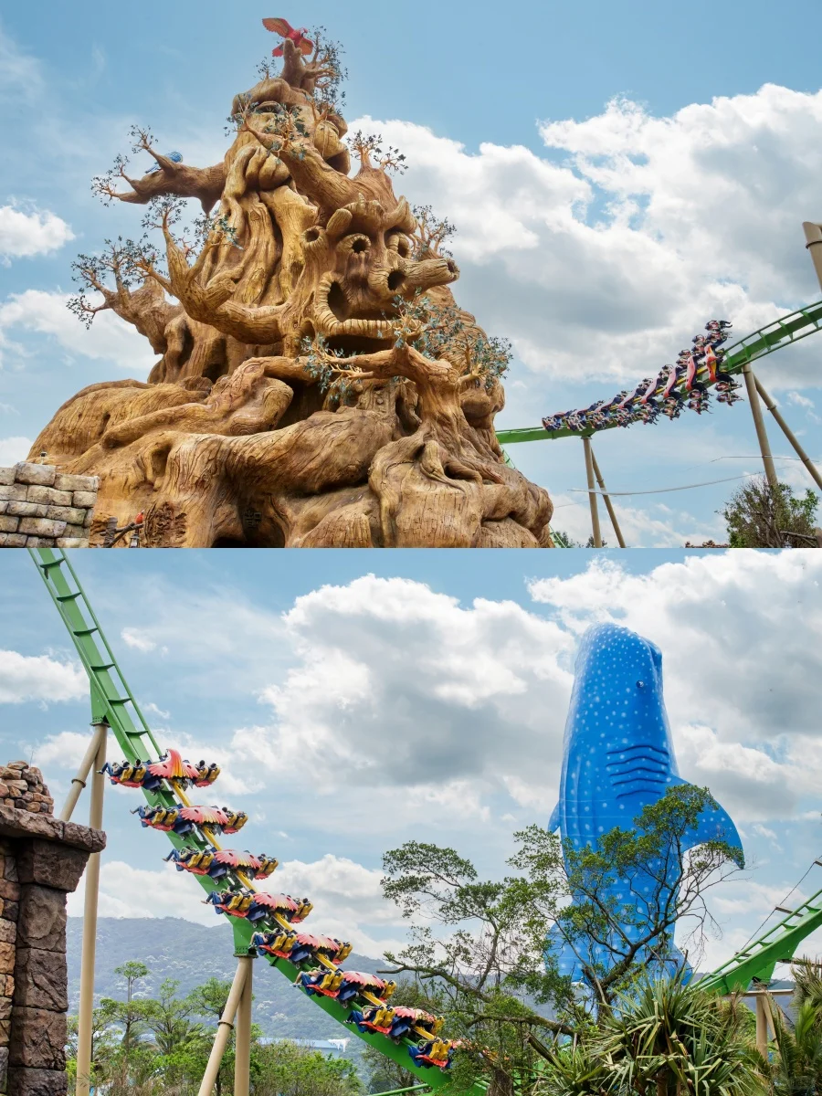 珠海长隆住宿+海洋王国798两大两小🍑总结