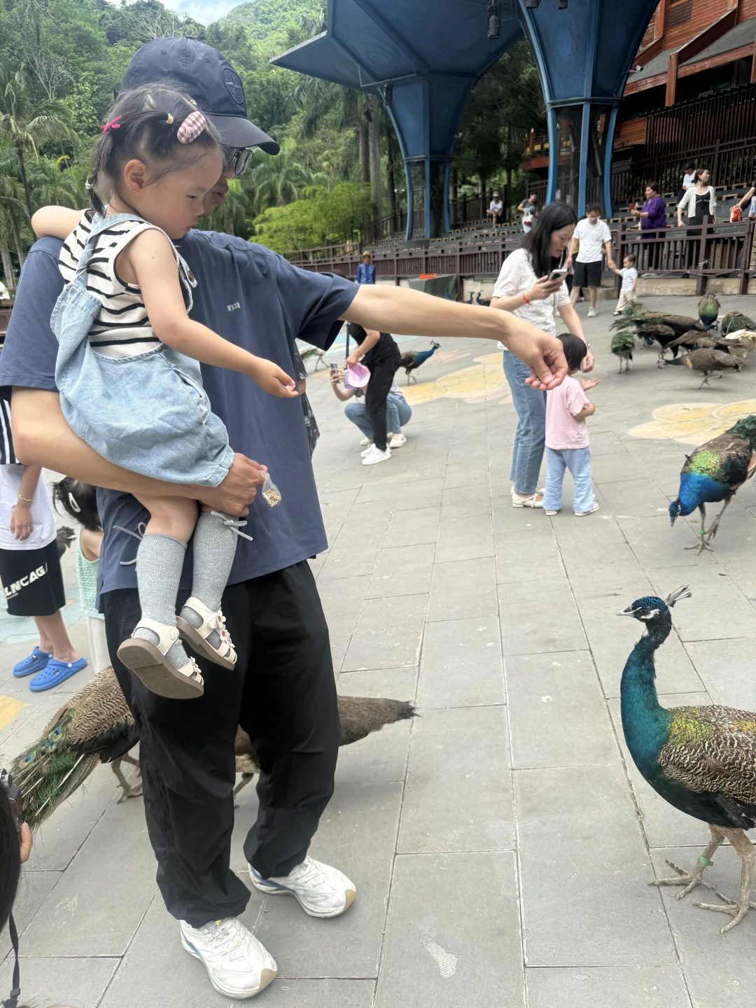 西双版纳亲子游没踩坑❗️带娃不累