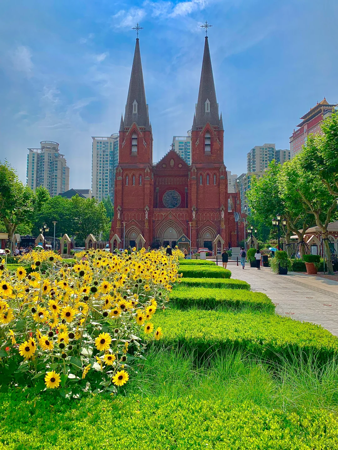 迄今为止，我最喜欢的城市出现了……