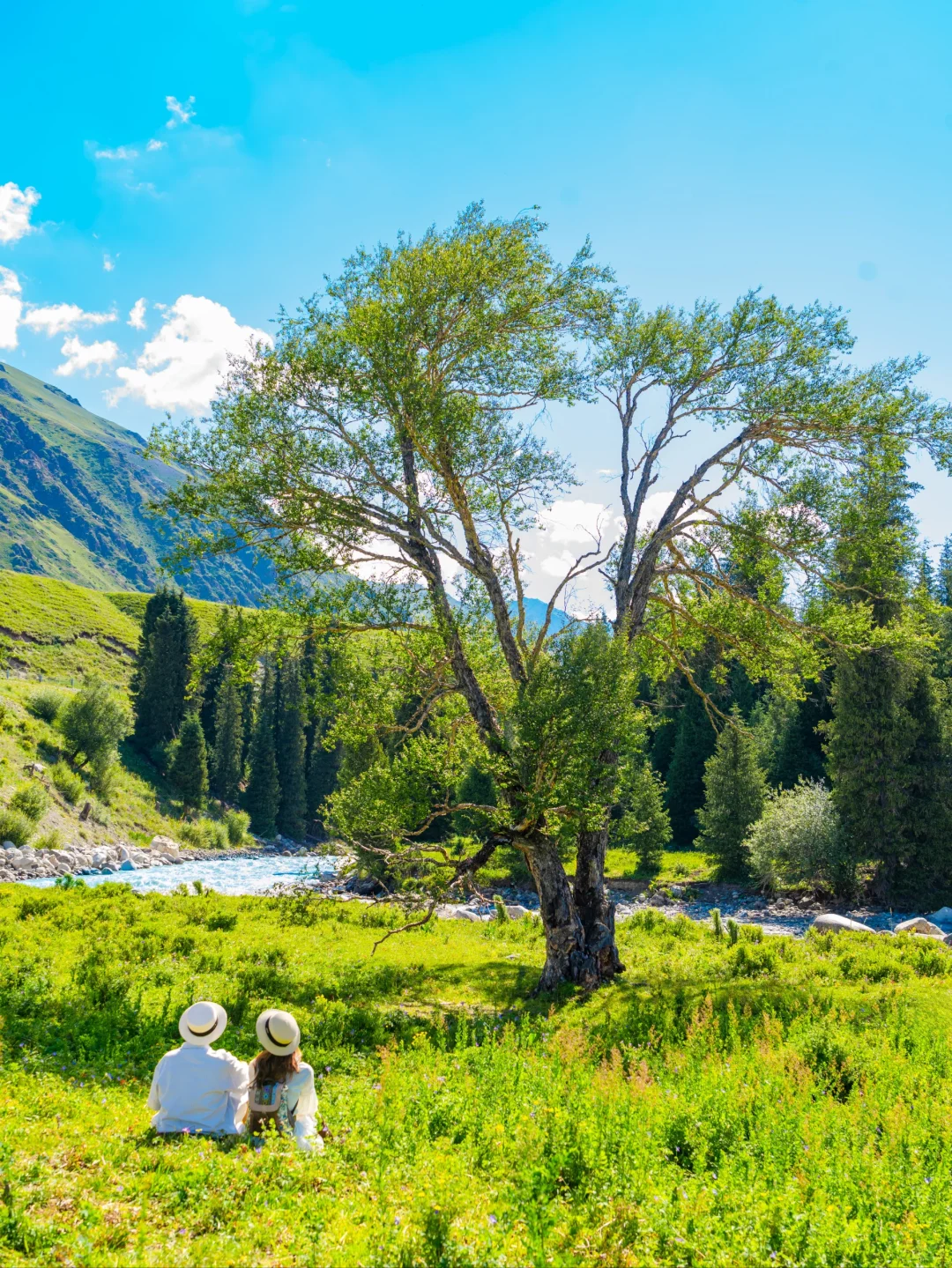 我这一生，总有一个夏天要留给新疆！！