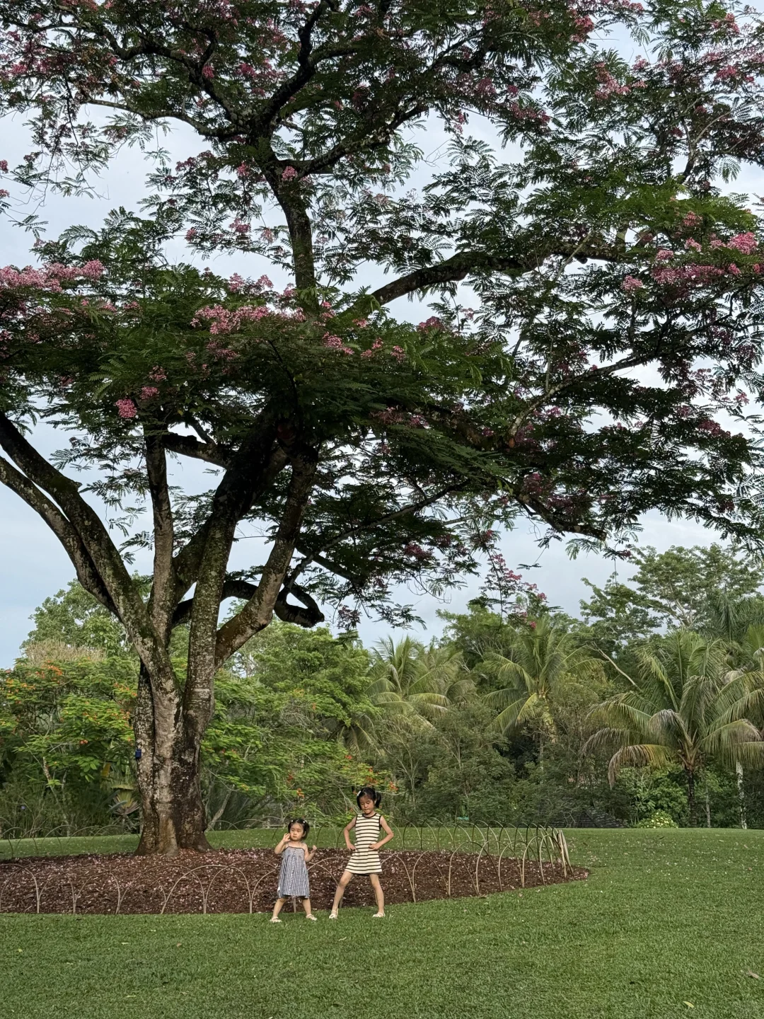 西双版纳亲子游没踩坑❗️带娃不累