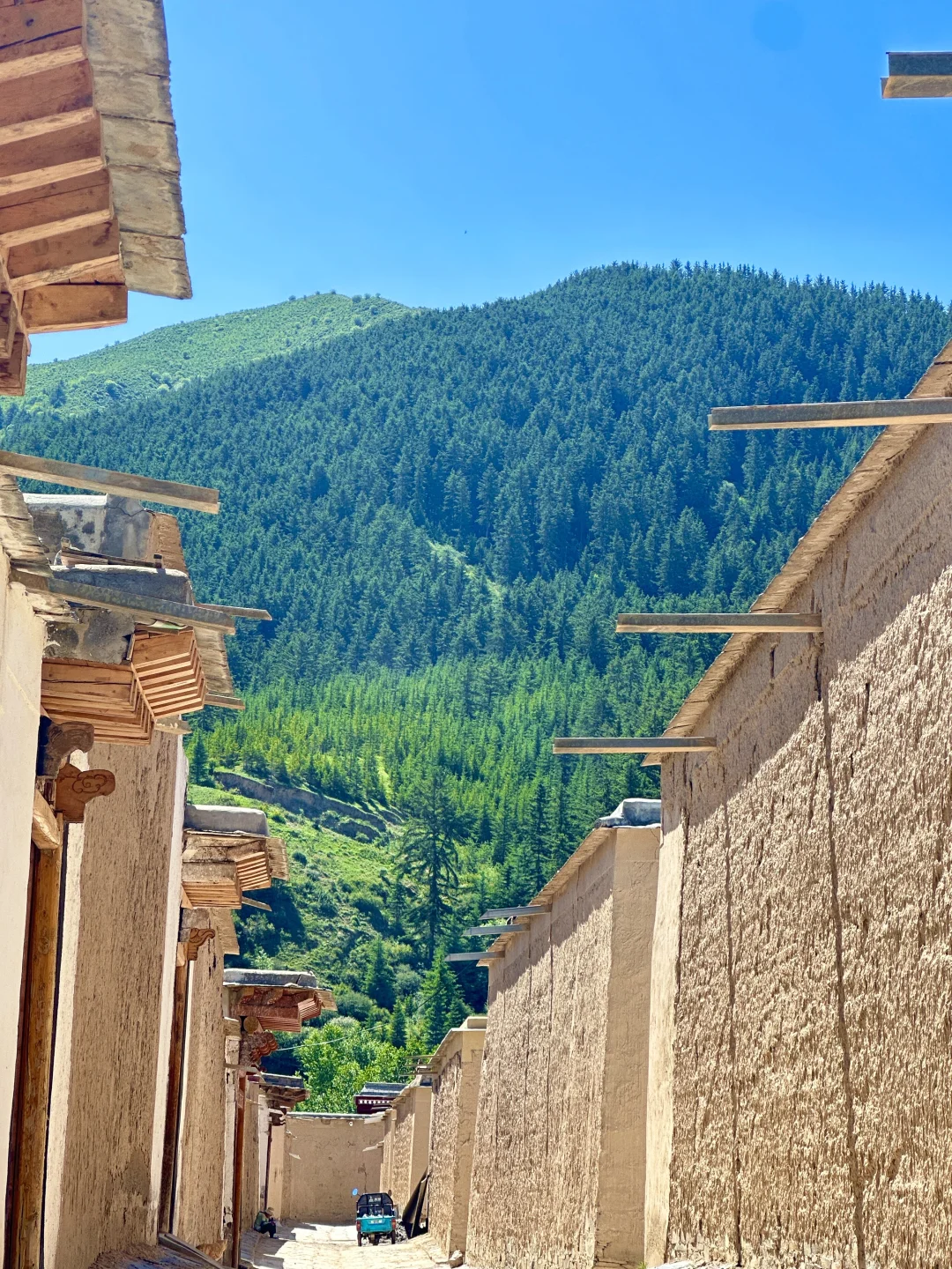 甘南5天4晚封神之旅!