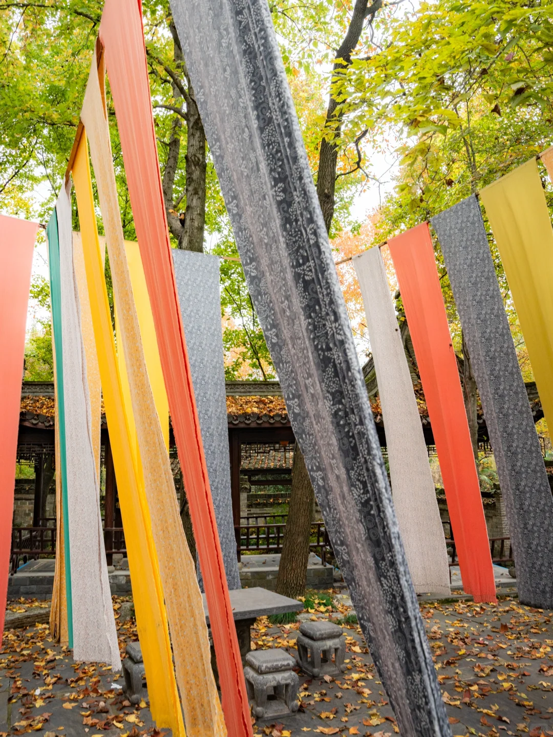 高铁直达，我找到了避世小镇里的江南秋色🍁