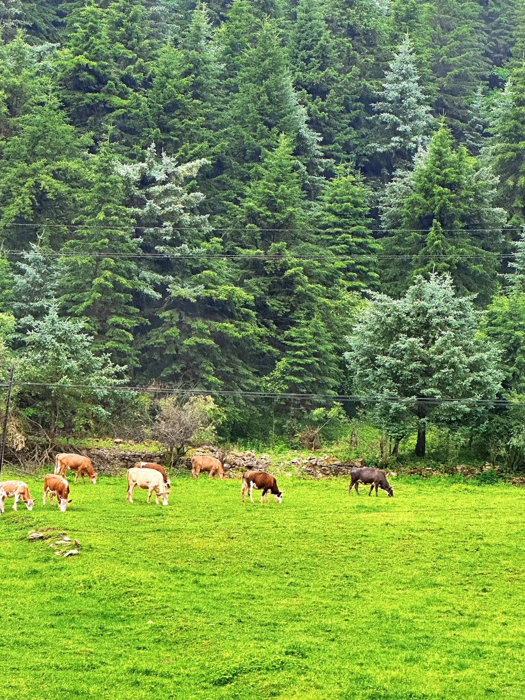带娃❗️石家庄出发➡️忻州3天2晚自驾攻略✅