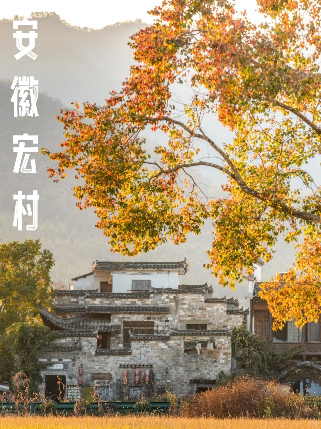 收集2025年秋天必去的几个地方（先存着）