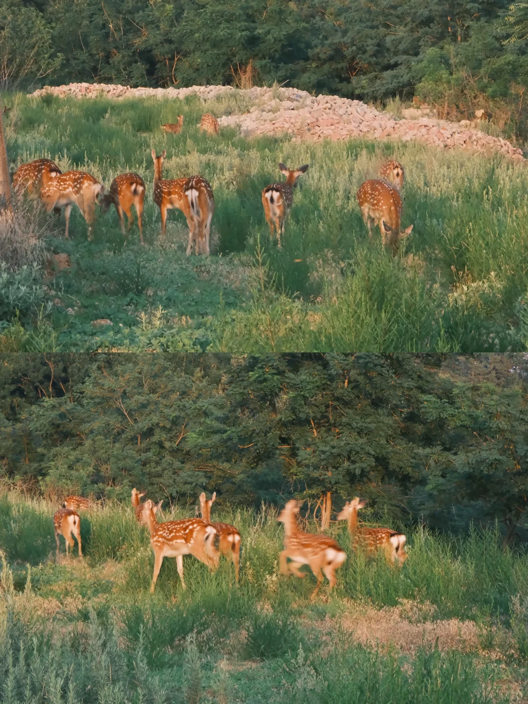 迄今为止，我最喜欢的滨海城市出现了…