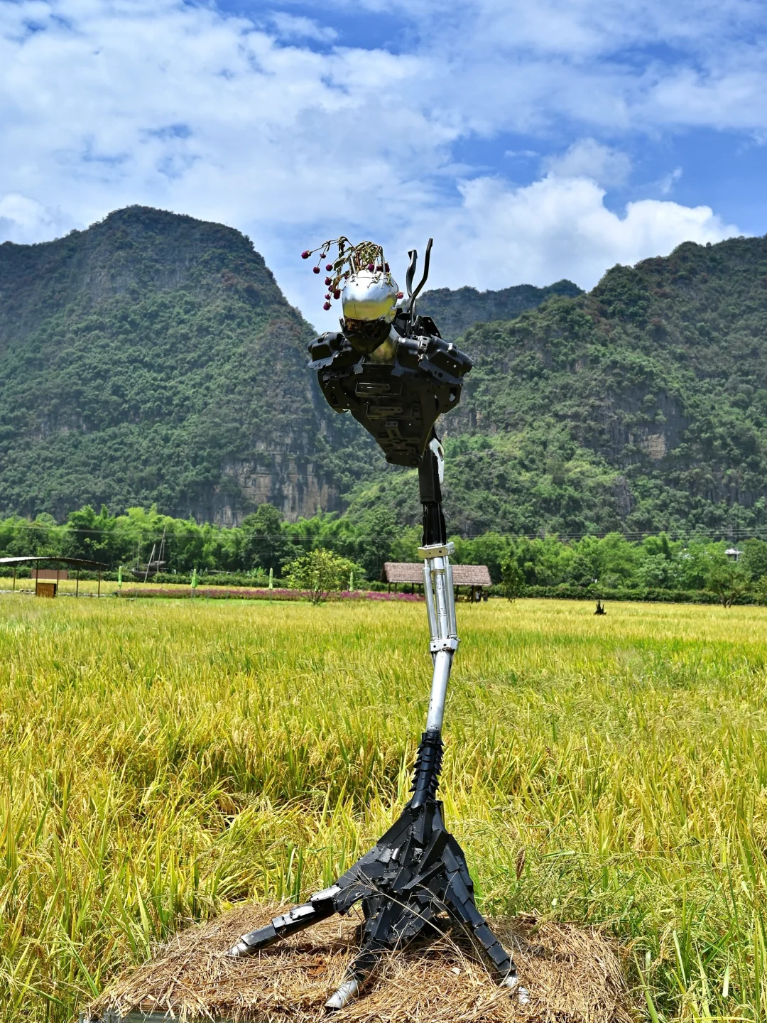 广西…这个地方被严重低估了！！！