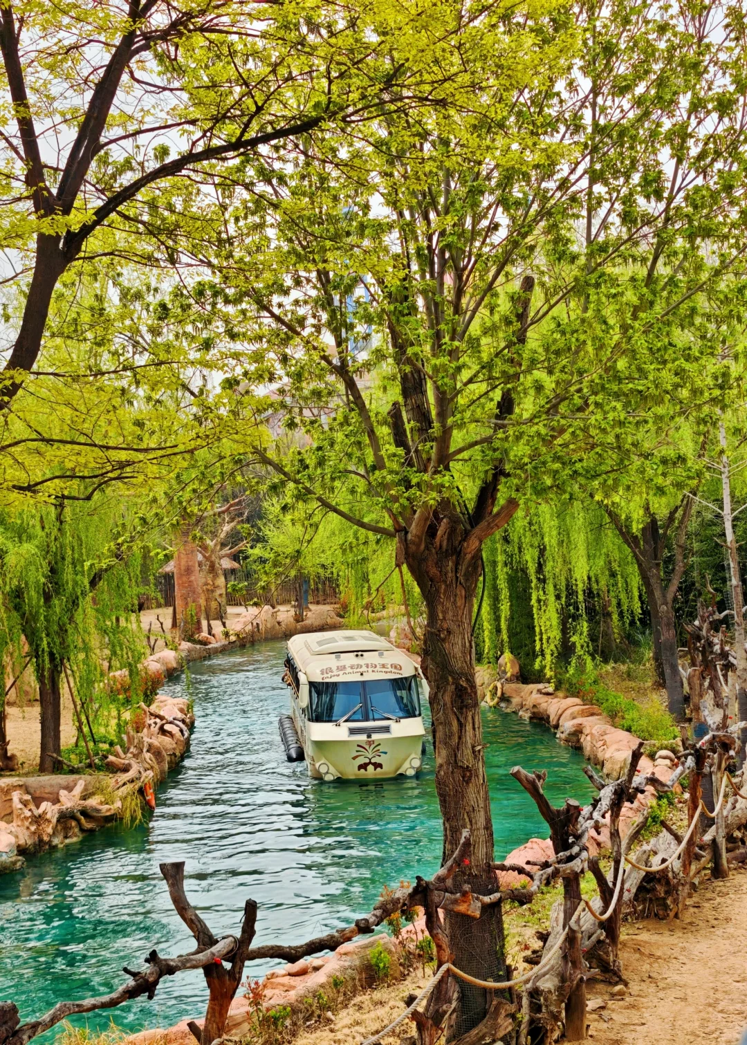 邯郸到郑州银基动物园两天一夜