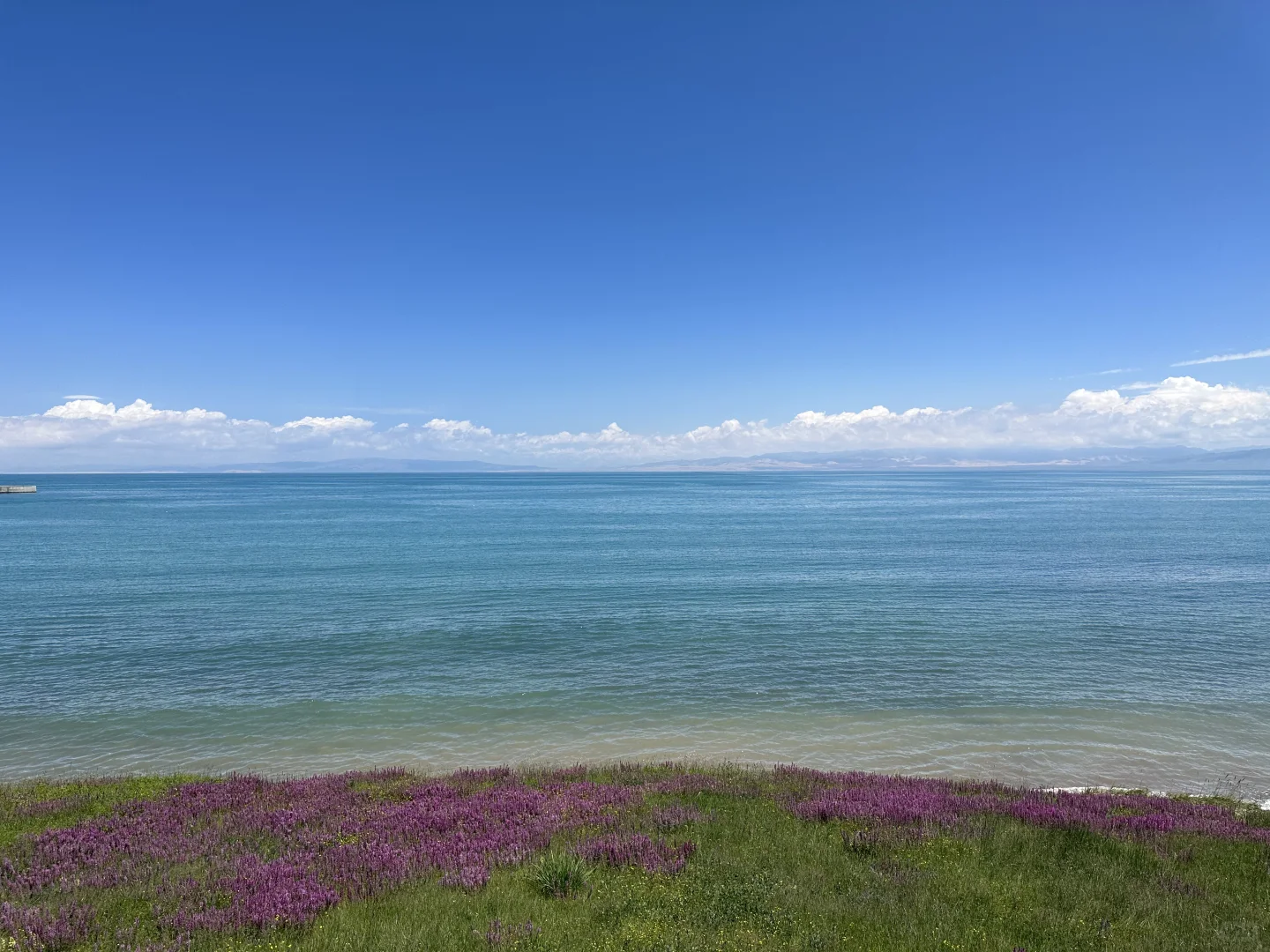 大西北——青甘大环线（攻略）