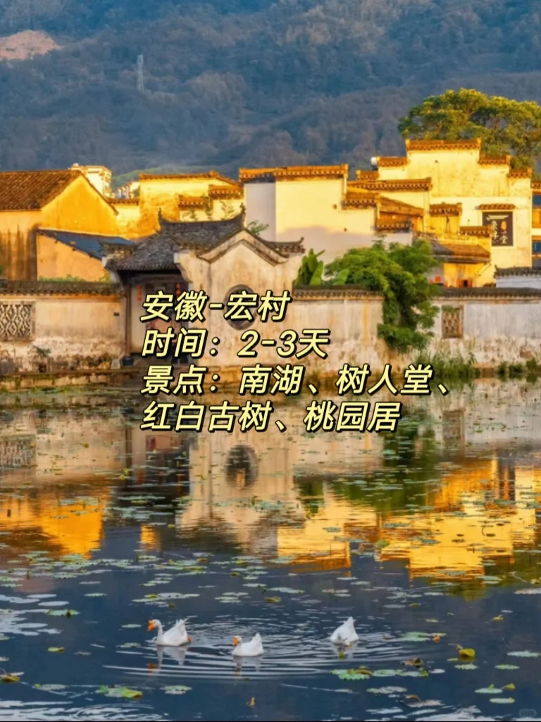 旅行4年，反复去的6⃣个高品质小众城市！