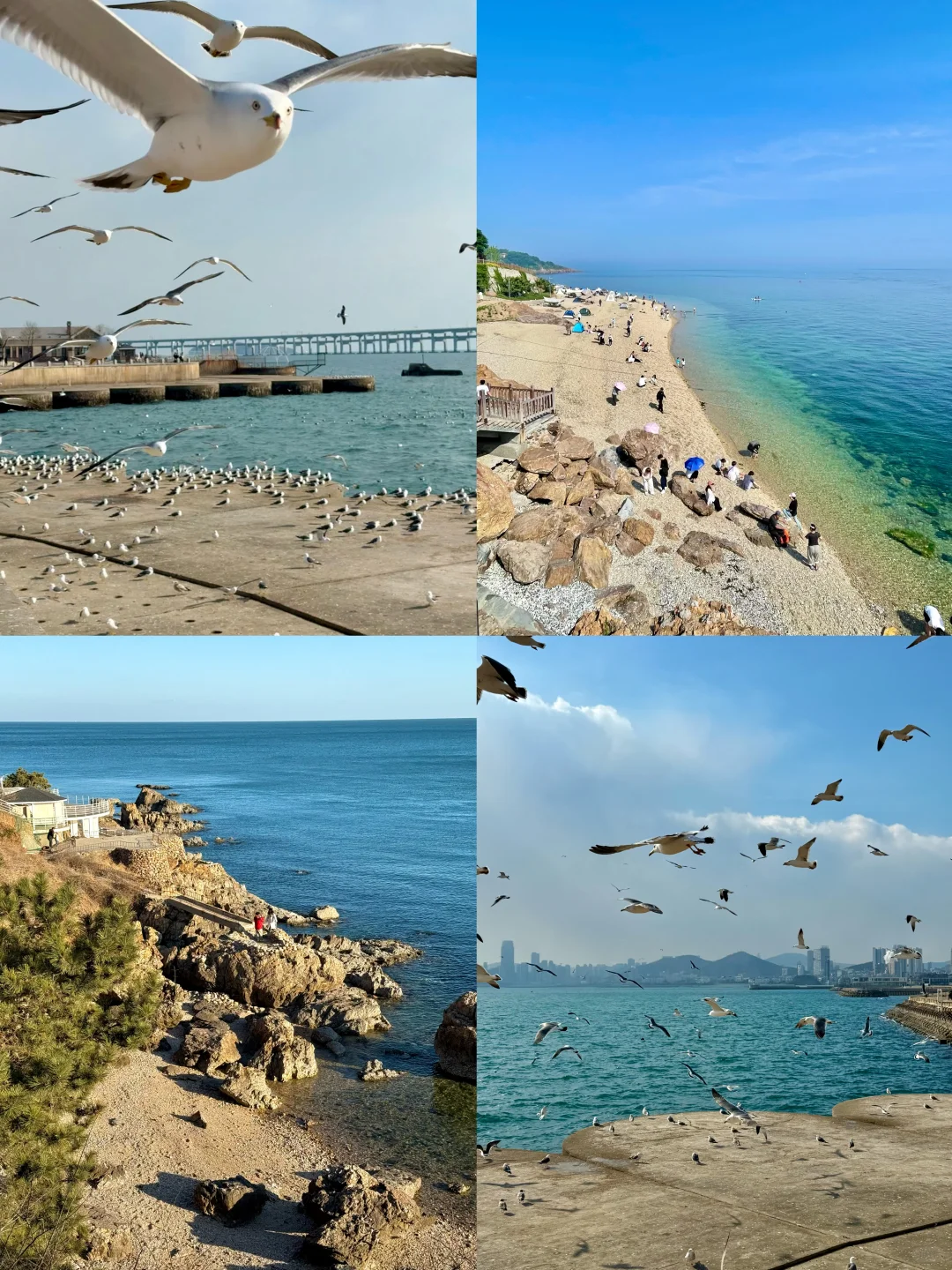 迄今为止，我最喜欢的滨海城市出现了…