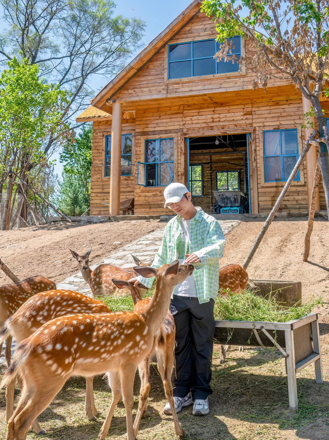 东北避暑！今年去过最冷门的城市！