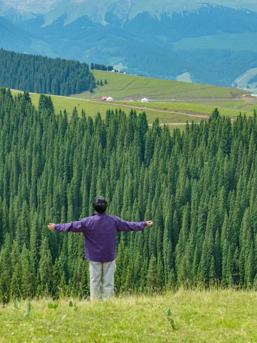 为了这18张照片，我特意飞了一趟新疆伊犁❗
