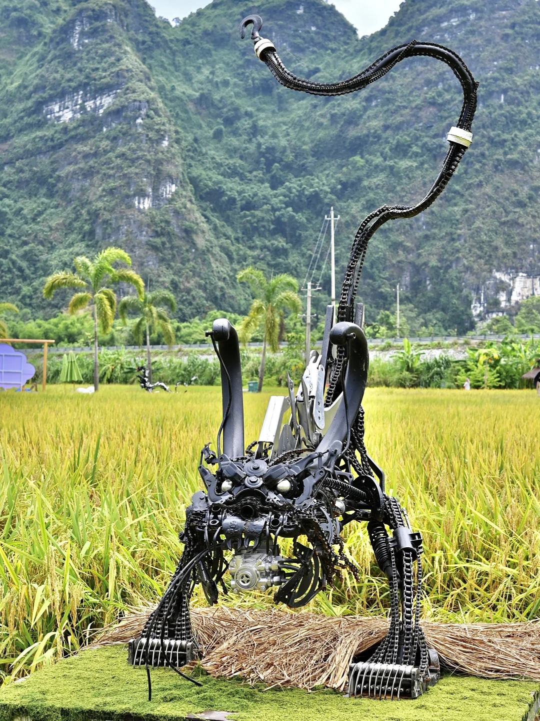 广西…这个地方被严重低估了！！！