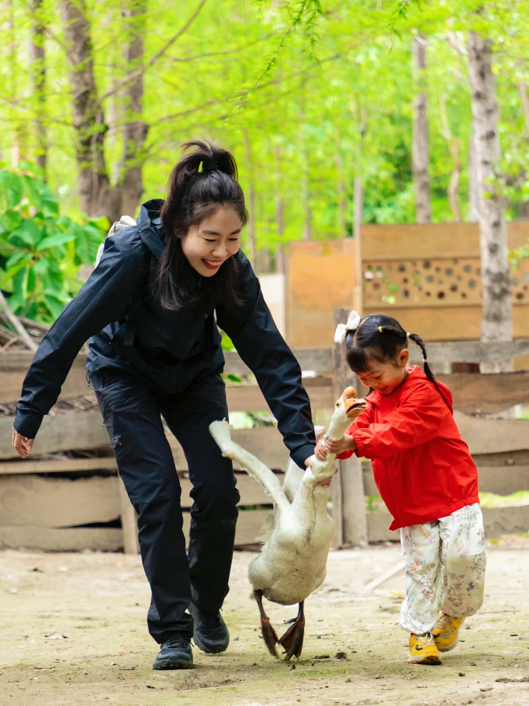 国内适合0-3岁低幼宝宝的6个亲子游宝藏地！
