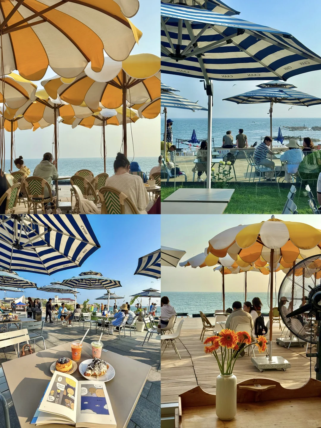 迄今为止，我最喜欢的滨海城市出现了…